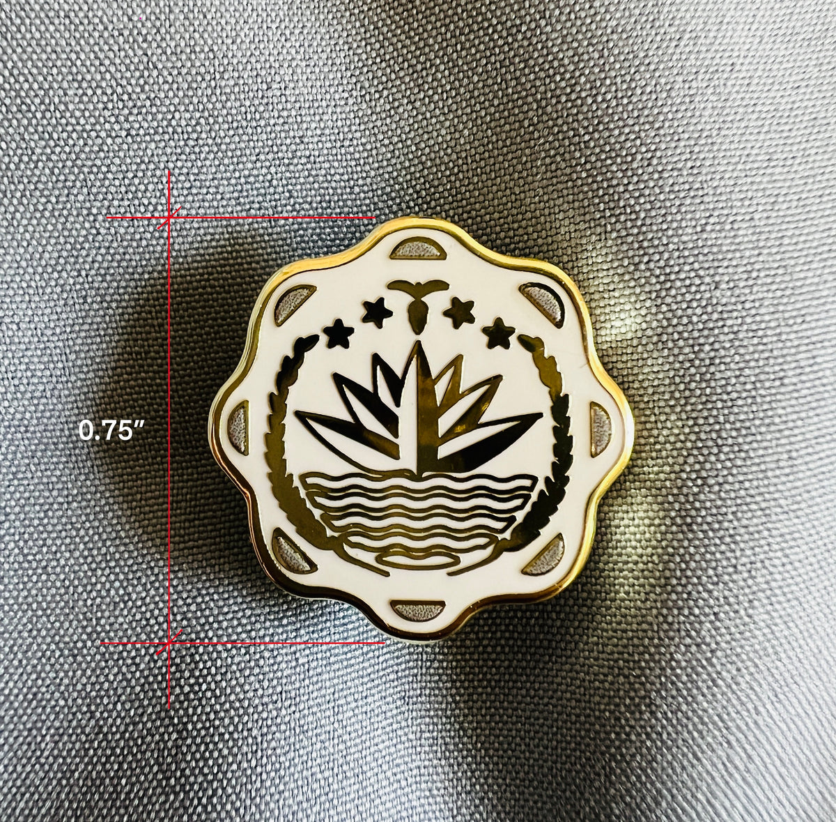 Bangladesh Coin | Hard Enamel Pin